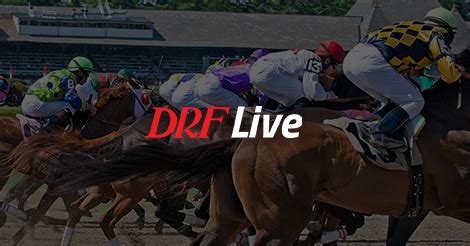 Welcome to DRF. . Drf live